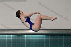 Diving vs Babson  Wheaton College Diving vs Babson College. - Photo By: KEITH NORDSTROM : Wheaton, Diving
